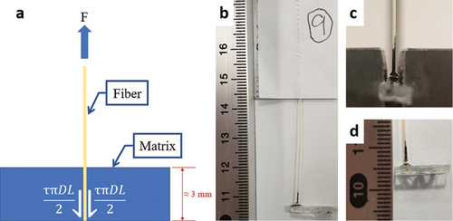 Figure 6. Fiber pull-out test specimen. (a) schematic illustration of the pull-out test, (b) image of the test specimen with scale bar in mm, (c) the specimen between the jaws showing pull-out of the fiber from matrix, cf. separation of black paint, (d) thickness of the matrix.