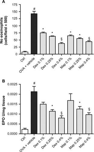 Figure 4 Map and Dex eye drops reduce eosinophil infiltration by OVA in guinea pig conjunctiva.