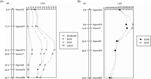 Fig. 2. The QCbt.spa-7B.1 QTL for common bunt resistance identified in (A) ‘McKenzie’/BW711 population (Bt10 lines removed) using Simple Interval Mapping with MQTL with the least square means in 2008 (SC08LSM), 2001 (SC01) and 2002 (SC02) at Swift Current, and 2001 at Lethbridge (Leth01) and (B) validated in the ‘McKenzie’/ND744 population using Simple Interval Mapping with MQTL for Swift Current in 2007 (SC07) and 2008 (SC08). Values on each map provide cM distances between markers and significant markers are those with values (symbols) higher than the LOD threshold indicated in each chart by the straight line running from the top to the bottom of the chart.