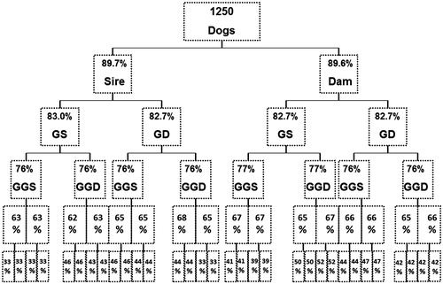 Figure 2. Pedigree completeness level in the whole pedigree data files (GS and GD = grandparents; GGS and GGD = great grandparents).