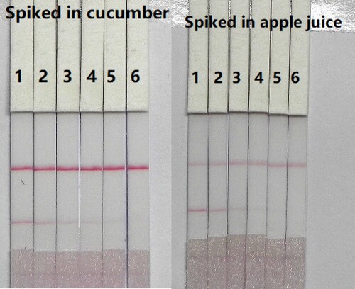Figure 8. Result of CTA spiked in cucumber and apple juice. CTA standard concentration: 1 = 0 ng/mL; 2 = 0.05 ng/mL; 3 = 0.1 ng/mL; 4 = 0.25 ng/mL; 5 = 0.5 ng/mL; and 6 = 1 ng/mL in cucumber and apple juice.