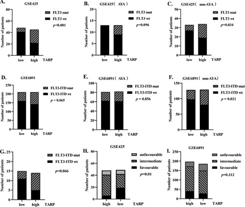 Figure 2. High TARP expression is related to high frequency of Fms-like tyrosine kinase (FLT3) alterations in non-APL patients, especially non-adolescents and young adults (AYA) AML patients. (A–F). Analysis of FLT3 mutations in low and high TARP groups of the total population, AYA subgroup and non-AYA subgroup (on the basis of the datasets GSE425 and GSE6891 downloaded from GEO). (G). Analysis of FLT3-internal tandem duplication (ITD) mutations in low and high relative TARP mRNA groups of non-AYA AML at our institute. (H–I). Composition of chromosomal karyotypes in low and high TARP groups based on analysis of the GSE425 and GSE6891 datasets. wt: wild type; mut: mutation.