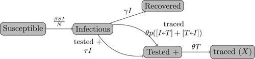 Figure 2. Flowchart of SIR model with testing and tracing (Population Dynamics).