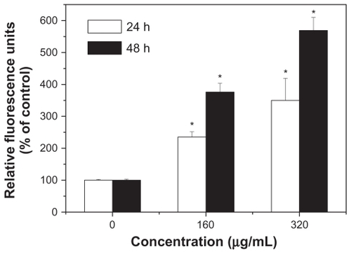 Figure 6 Activation of caspase-3 during apoptosis induced by silica nanoparticles. HepG2 cells were treated with size 20 nm silica nanoparticles at 160 and 320 μg/mL for 24 hours and 48 hours (versus control group).Note: *P < 0.05.