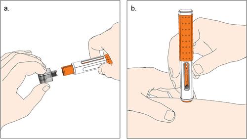 Figure 1. Illustration of user steps with a prefilled handheld autoinjector activated by push-on-skin. a. The user pulls the needle cap straight off and holds the autoinjector against the skin. b. The user holds the autoinjector down until the injection is complete (i.e. until the second click is heard and the plunger rod filled the viewing window).