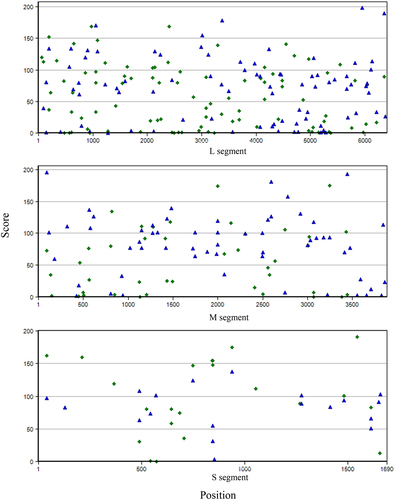 Figure 2. Potential stem-loop structures of pre-miRnas of RVFV genome. Hairpins are plotted according to genomic position (X-axis) and score (Y-axis). (hairpins in direct orientation represented as blue triangles; and hairpins in position (X-axis) and reverse orientation represented as green diamonds). The hairpin score indicates which hairpins (based on the secondary structures, minimum free energy, and positional entropy) are the best candidates as pre-miRnas.