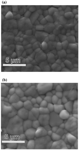 Figure 3. SEM images of (a) NBT-BT and (b) NBT-BT-Mn piezoceramics.