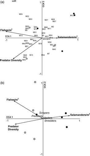 Figure 3. CCA triplots of the relationship between the vertebrate predators and macroinvertebrate family composition (a) and macroinvertebrate functional feeding guilds (b), along four headwater streams of Cuyahoga Valley National Park, OH. Black circles refer to upstream reaches while gray circles refer to downstream reaches.