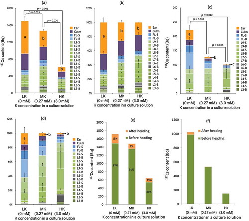 Figure 3 Cesium 137 (137Cs) accumulation in the various organs of rice plants (Oryza sativa L. “Nipponbare”) grown under three different Potassium (K) conditions from the third week until after harvesting period (Experiments A and B). (a) the amount of 137Cs in each shoot part in Experiment A; (b) the fraction of each shoot part (%) in total shoot 137Cs content in Experiment A; (c) the amount of 137Cs in each shoot part in Experiment B; (d) the fraction of each shoot part (%) in total shoot 137Cs content in Experiment B. The relative contributions of 137Cs absorbed before or after heading season to the total mass of 137Cs accumulated (e) in the above-ground shoots and(f) in the ears and the culms at the time of harvesting were calculated based on (a) and (c). 137Cs absorbed before and after the heading are shown in dark gray and pale gray, respectively. L = leaf, B = blade, S = sheath and FL = flag leaf. The number associated with “L” indicates an arbitrary ordinal number of leaves counted acropetally from an incomplete leaf on the main stem. Data in (a), (b), (c) and (d) are shown as the mean ± SD. For the total 137Cs content in (a) and (c), p-values are shown above the bars. Different letters inside the bars in (a) and (c) indicate that there is a significant difference (p < 0.05, t-test) in the 137Cs content in the ears. In (b) and (d), different letters inside the bars indicate that there is a significant difference (p < 0.05, t-test) in the percentage of the ear fraction.