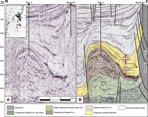 Figure 3 Onshore–offshore E–W seismic section from Kauri-A1 to Toru-1 (location in inset). A, Un-interpreted and B, interpreted, with Oligocene–earliest Miocene highlighted in yellow, showing thickening towards the reverse Taranaki Fault, which was active throughout this interval. Higher amplitude, possibly prograding, reflectors close to the fault zone probably represent ‘Kauri sandstone’ facies (arrowed).