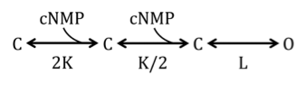 Figure 12. Allosteric model.