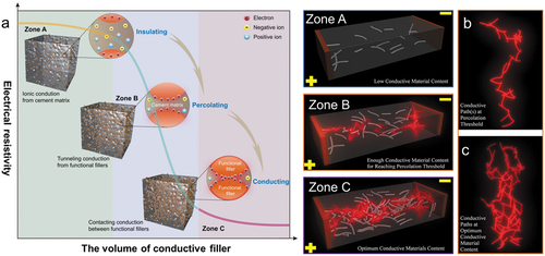 Figure 5. (a) the relationship of resistivity and filler concentration [Citation143]: (Zone A) insulated phase; (Zone B) transition phase; (Zone C) excessive conductive filler; (b) conductive path at percolation threshold region; and (c) conductive path at optimum conductive filler content [Citation144].