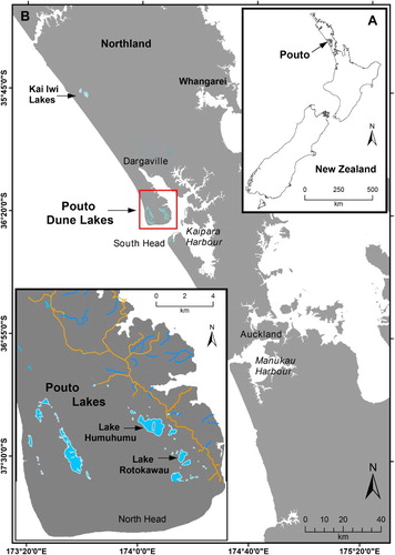Figure 1. Location map showing Poutō lakes on North Kaipara Barrier and the study lakes: Rotokawau and Humuhumu.
