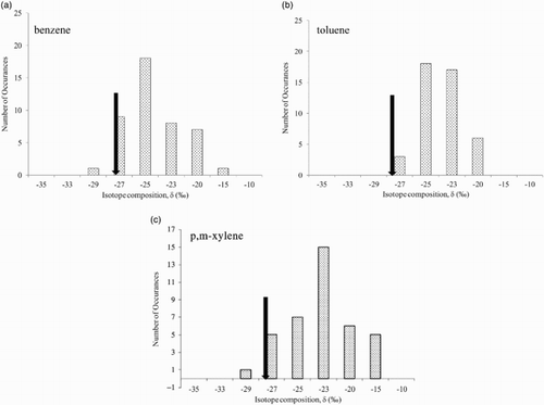 Fig. 6 (a) Frequency distribution of the carbon isotope ratio of benzene at CARE. The downward arrow indicates the isotope ratio of urban benzene sources (Rudolph et al., Citation2002). (b) Frequency distribution of the carbon isotope ratios of toluene at CARE. The downward arrow indicates the isotope ratio of urban toluene sources (Rudolph et al., Citation2002). (c) Frequency distribution of the carbon isotope ratios of p- and m-xylene at CARE. The downward arrow indicates the isotope ratio of urban p- and m-xylene sources (Rudolph et al., Citation2002).