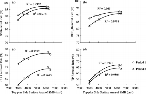 Figure 4  Relationship between average removal rates of (a) suspended solids (SS), (b) biological oxygen demand (BOD5), (c) chemical oxygen demand (COD) and (d) total phosphorus (T-P) and the top plus side surface area of the soil mixture blocks (SMB).