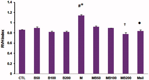 Figure 3. Right ventricular hypertrophy index. Data are presented as mean ± SEM. n = 7–8. *p < 0.05 compared with CTL and B100 groups. #p < 0.01 compared with the B200 group. †p < 0.01 compared with the M group. •p < 0.05 compared with the M group. RVH increased in the monocrotaline group. Two weeks consumption of barberry extracts attenuated this parameter especially in dose of 200 mg/kg. CTL, control group; B50, 50 mg/kg barberry extract; B100, 100 mg/kg barberry extract; B200, 200 mg/kg barberry extract; M, monocrotaline group; MB50, monocrotaline + 50 mg/kg barberry extract; MB100, monocrotaline + 100 mg/kg barberry extract; MB200, monocrotaline + 200 mg/kg barberry extract; Msil, monocrotaline + 30 mg/kg sildenafil.