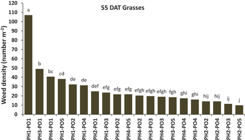 Figure 2. Effects of pre- and post-emergence herbicides on weed density in mechanized unpuddled transplanted rice for grassy weeds at 55 days after transplanting (DAT). Treatments with the same letter are not significantly different (p = 0.05) from each other. PH1 = no pre-emergence, PH2 = pendimethalin, PH3 = oxadiargyl, PH4 = pretilachlor; PO1 = no post-emergence, PO2 = bispyribac, PO3 = bispyribac+pyrazosulfuron, PO4 = fenoxaprop+ethoxysulfuron, PO5 = fenoxaprop fb halosulfuron.