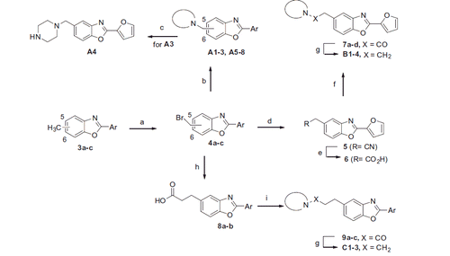 Scheme 2. Reagents and conditions: (a) NBS, benzoyl peroxide, CCl4, reflux/hυ (230 W), 60–75%; (b) R2R1NH, Et3N, acetone, 50–85%; (c) TFA, DCM, 60%; (d) KCN, EtOH/H2O, 50–60%; (e) H2O/H2SO4/AcOH, reflux, 60–70%; (f) i) SOCl2, toluene; ii) secondary amine, Et3N, EtOAc, 50–60%; (g) LiAlH4, THF, 60–75%; (h) i) dimethyl malonate, K2CO3, acetone; ii) NaOH, H2O then 6 M HCl; iii) DMF, reflux, 40–43%.