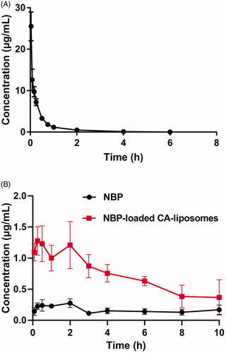 Figure 3. Pharmacokinetic curves of NBP after intravenous injection of NBP solution (A) and oral administration of NBP suspension as well as NBP-loaded BC-liposomes to rats (B) at a dose of 30 mg/kg, respectively. Data are mean ± SD (n = 5).