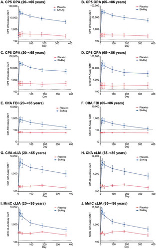 Figure 3. Kinetics of GMTs (95% CI) for each antigen through Month 12: (A) and (B) CP5 (OPA), 20 to < 65 and 65 to < 86 age groups, respectively; (C) and (D) CP8 (OPA), 20 to < 65 and 65 to< 86 age groups, respectively; (E) and (F) ClfA (FBI), 20 to < 65 and 65 to < 86 age groups, respectively; (G) and (H) ClfA (cLIA), 20 to < 65 and 65 to < 86 age groups, respectively; (I) and (J) rP305A (MntC) (cLIA), 20 to < 65 and 65 to < 86 age groups, respectively. Dotted lines indicate LLOQ for each assay. Data are from the evaluable immunogenicity population.Footnote: CI, confidence interval; ClfA, clumping factor A; cLIA, competitive Luminex® immunoassay; CP5, capsular polysaccharide serotype 5; CP8, capsular polysaccharide serotype 8; FBI, fibrinogen-binding inhibition; GMT, geometric mean titer; LLOQ, lower limit of quantification; OPA, opsonophagocytic activity; rP305A (MntC), manganese transporter protein C; SA4Ag, Staphylococcus aureus 4-antigen vaccine.