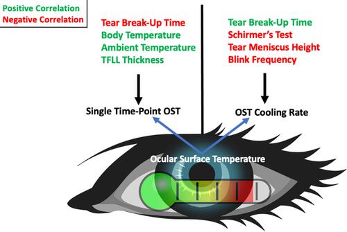 Figure 1 Tear film characteristics are associated with ocular surface temperature (OST) and change in OST over time. OST correlates positively and negatively with different variables, most notably tear break-up time, body temperature, ambient temperature, lipid layer thickness, Schirmer’s Test (tear production), Tear Meniscus Height (tear volume), and blink frequency. Green text indicates that the variable is positively correlated with either OST or change in OST and red text indicates a negative correlation. Eyes with short tear break-up times and thin lipid layers from an individual with a warmer body temperature and in warmer surroundings would be expected to have warmer OST. On the other hand, eyes with short tear break-up times, high Schirmer’s test scores, and high tear meniscus height are expected to have larger changes in OST over the interblink period, which is also associated with a higher blink frequency.