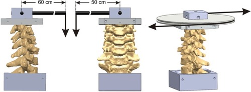 Figure 1 Schematic of the loading apparatus for flexibility testing in flexion–extension (left image), lateral bending (center image), and axial rotation (right image).