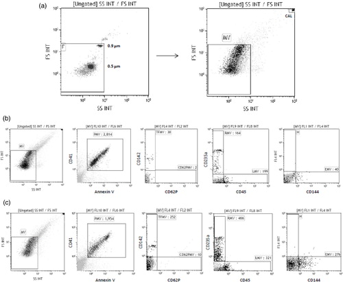 Fig. 1.  Flow cytometry of microvesicles. (a) MV size gate setup with fluorescent beads; a representative cytograms of PMVs, AVMVs, EMVs, TFMVs, LMVs, RMVs of (b) healthy donor and (c) trauma patient.