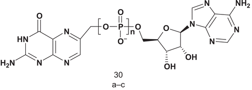 Scheme 19.  Bisubstrate analogs for 6-hydroxymethyl-7,8-dihydropterin pyrophosphokinase (HPPK).