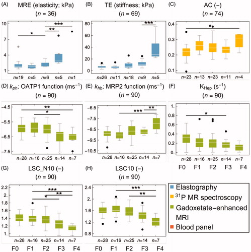 Figure 4. Fibrosis biomarkers stratified by the stage of fibrosis (F0–4). The asterisks represent Tukey’s post-test at α = 0.05*, 0.01**, 0.001*. (A, B) shows the ultrasound and MR based elastography biomarkers. The 31P-MRS-based anabolic charge is shown in (C). (D, E) shows the parameter representing the function of OATP1 and MRP2, derived from model-based analysis of gadoxetate-enhanced MRI. (H) shows the hepatic accumulation rate, and (F, G) shows the ratios between the liver and spleen at 10 min all of which are also based on gadoxetate-enhanced MRI. Colour version of the figure is available in the online version.