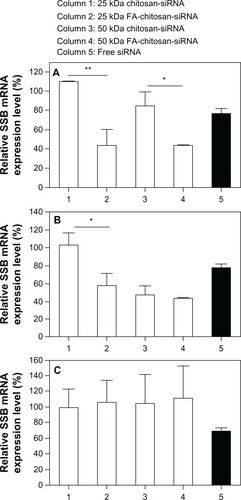 Figure 6 Transfection efficiency in vitro. 5 μg free siRNA SSB or chitosan-siRNA or folate-chitosan-siRNA complexes containing an equivalent of 5 μg of siRNA SSB incubated with (A) HeLa, (B) OV-3, and (C) MG-63 line cells.Notes: The weight ratio of chitosan or folate-chitosan to siRNA SSB was 50:1. SSB gene expression is measured with real-time RT-PCR and compared with nontreated cells, which are considered as 100%. Statistical significance was assessed by the unpaired Student’s t-test, *P < 0.05; **P < 0.01; P < 0.001. Column 1, 25 kDa chitosan-siRNA; column 2, 25 kDa folate-chitosan-siRNA; column 3, 50 kDa chitosan-siRNA; column 4, 50 kDa folate-chitosan-siRNA; column 5, Free siRNA.Abbreviations: RT-PCR, reverse transcription-polymerase chain reaction; SBB, Sjogren syndrome antigen; siRNA, small interfering RNA.