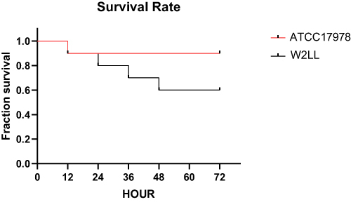 Figure 3 The percentage of larvae surviving after infection with A. baumannii W2LL and ATCC 17978 over a 72-hour period. Survival experiments were repeated three times, each involving 10 larvae per experimental group, and the most representative survival curves are presented.