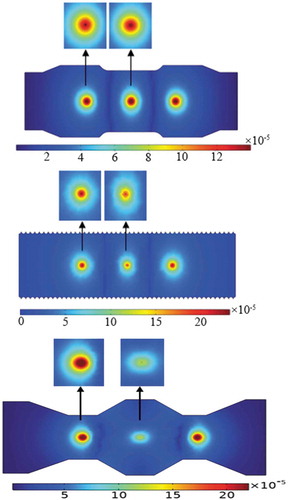 Figure 10. Space charge density(C/m3) distribution cloud map.