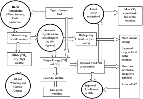 Figure 2. Conceptual framework showing the technical potential of biogas energy systems, adapted from Wamuyu (2009).