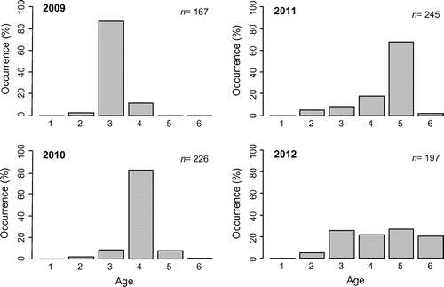 Figure 5. Age structure of landings (based on scale analysis) for 2009, 2010, 2011, and 2012. The number of fish sampled (n) is provided for each year.