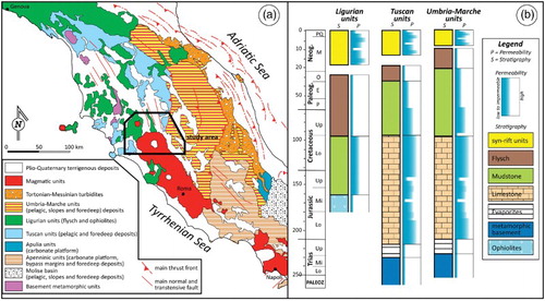 Figure 1. (a) Simplified geological map of the central Apennines showing the distribution of the main paleogeographic domains (modified and adapted from CitationBigi et al., 1990); (b) schematic relationship between palaeographic domains, lithological composition and permeability attitude. Note the width of boxes illustrating the permeability is expressed in chronostratigraphic terms and does not reflect the thickness of the lithological complexes. Stratigraphy of paleogeographic domains are obtained and adapted from CitationCarmignani et al. (1994), CitationJolivet et al. (1998), CitationBrogi and Fabbrini (2009), CitationMastrorillo and Petitta (2010).