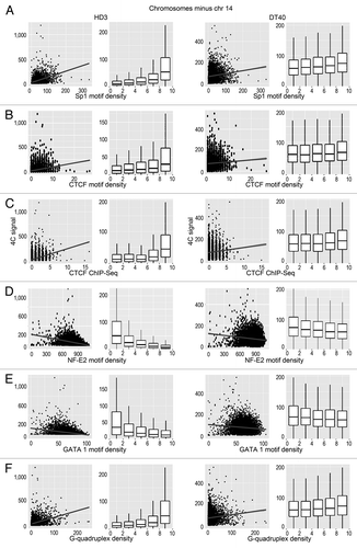 Figure 4. Scatterplots and box-plots showing the relationship between the NPRL3-4C signal (y-axis) in HD3 and DT40 cells and the density of various genomic features (x-axis). (A–F) The correlation of the NPRL3–4C signal with the Sp1 motifs, CTCF motifs, CTCF deposition sites, as determined by ChIP-Seq, NF-E2 binding motifs, GATA1 binding motifs, and G-quadruplex motifs is shown. Other designations are as in Figure 3.