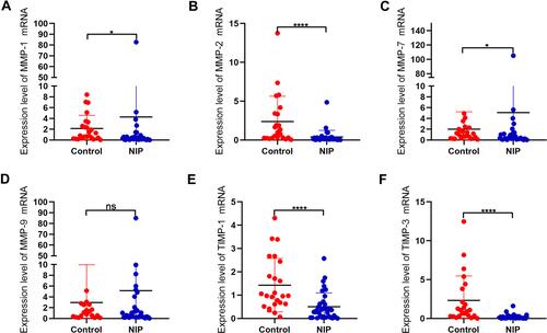 Figure 4 mRNA expression levels of MMPs and associated factors in NIP and healthy control tissue. (A–F) mRNA levels of MMP-1, MMP-2, MMP-7, MMP-9, TIMP-1, TIMP-3 were detected by qRT-PCR, and analyzed with GraphPad 8. Data were shown as mean ± SD and statistical significance was analyzed using student’s t-test, *p< 0.05, ****p<0.0001.