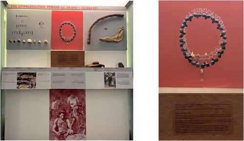 Figure 1. Left panel: Epipaleolithic showcase at the AUB Museum (© Aimée Bou Rizk, AUB Archaeological Museum). Right panel: Noureddine’s counter-fiction of the Natufian period necklace (©Aimée Bou Rizk, AUB Archaeological Museum).