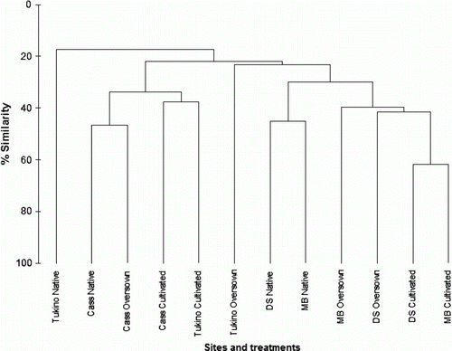Figure 5  Bray-Curtis cluster analysis for sites and treatments.