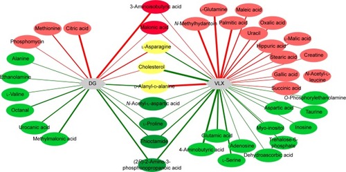 Figure 6 Red shows upregulation, green shows downregulation and yellow represents the opposite changes of the metabolites in the DG and VLX groups.