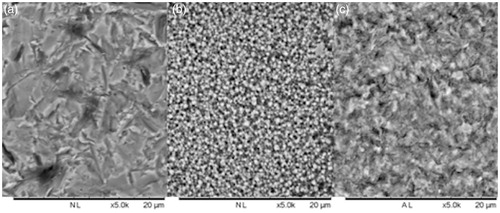 Figure 5. Representative SEM images of air borne particle abraded zirconia (a), KHF2 etched zirconia (b), and hydrofluoric acid etched lithium disilicate (c). Bar represents 20 μm.