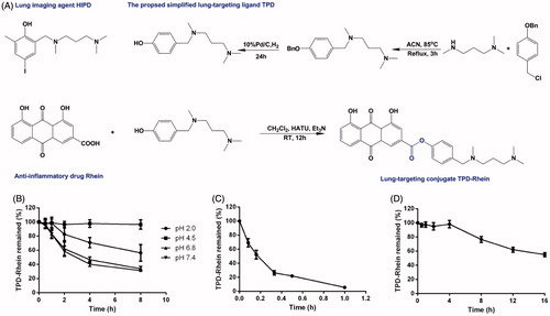 Figure 1. The lung-targeting ligand TPD and corresponding drug conjugate TPD-Rhein were engineered for treating asthma. (A) Based on the proposed lung-targeting moiety HIPD, TPD designed here was more feasible for the conjugation with an anti-inflammatory drug Rhein, via an ester bond. Degradation profiles of TPD-Rhein when incubated with PBS of different pH values (B), plasma (C) and lung homogenates (D) at 37 °C. The percentage of TPD-Rhein remained was determined by LC-MS/MS analysis and plotted against time. Data represent mean ± SD (n = 3).