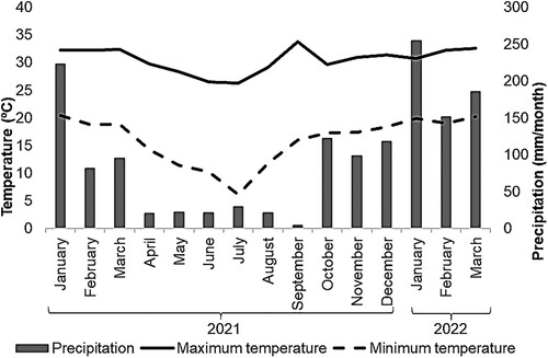 Figure 1. Monthly meteorological data from the experimental period (January 2021 to March 2022), at the Instituto de Zootecnia in Nova Odessa, state of São Paulo.
