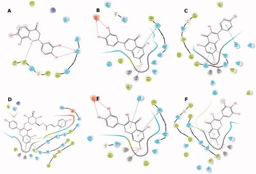 Figure 5. Binding interactions of compounds 4 (A), 17 (B), 26 (C), 32 (D), 35 (E), and 41 (F) with the tyrosinase active site residues. Binding interactions are shown as coloured lines, and compound moieties exposed to solvent are highlighted with grey shades.
