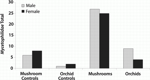 Figure 4  Number of male and female Mycetophila trapped above mushrooms, mushroom controls, Corybas cheesemanii orchids and orchid controls.