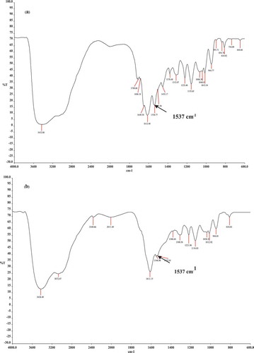 Figure 4. FT-IR spectra of HMTAF (a) before and (b) after photopolymerization by curing with a halogen lamp.
