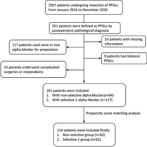 Figure 1 Study flowchart.