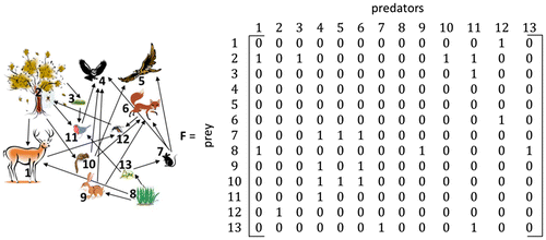 Figure 1. Left – A food web of a hypothetical ecosystem with species numbered. Right – A food web matrix; fij = 1 represents a unidirectional link between prey (i) and predator (j) and a zero represents no link.