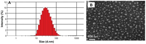 Figure 2 Characterization of the PGG–DTX nanoparticles. The particle size and polydispersity of the PGG–DTX conjugate obtained from (A) dynamic light scattering, and (B) transmission electron microscopy.Abbreviations: PGG, poly(L-γ-glutamyl-glutamine); DTX, docetaxel; Mw, weight average molecular weight; Mn, number average molecular weight.