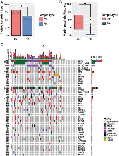 Figure 1. CSF is superior to plasma in reflecting LM. A). Detection rates, defined as having any mutation detected from the panel, in CSF (red) and plasma (blue). (B) Average maximum allelic fractions in CSF and plasma. (C) Oncoprint of CSF. Each column represents a patient; each row represents a gene. Different types of mutations were denoted in different colors. The total number of mutations a patient has is summarized by the top bar. The frequency of a mutation in this cohort is summarized by the side bar. * denotes p values< 0.05. CSF, cerebrospinal fluid; PLA, plasma; CNVs, copy number variations.